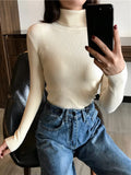 Suéter Feminino de Malha Gola Alta